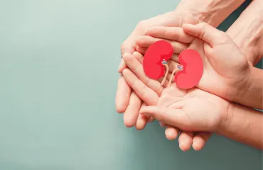 Kidney Health After Metabolic and Bariatric Surgery